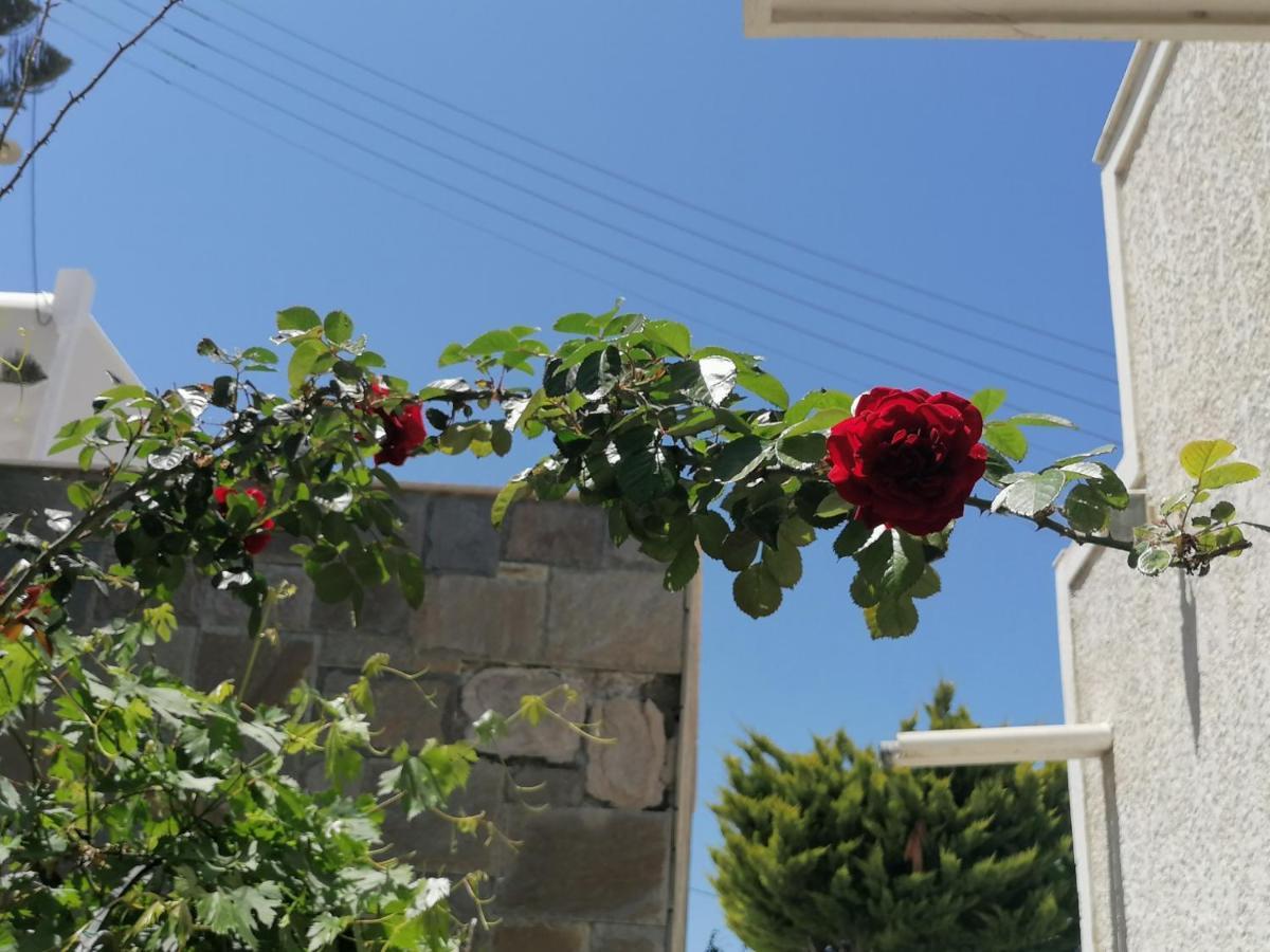 Almira Inn Chora  Bagian luar foto